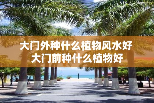 大门外种什么植物风水好 大门前种什么植物好