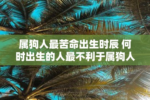 属狗人最苦命出生时辰 何时出生的人最不利于属狗人