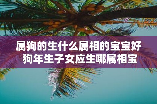 属狗的生什么属相的宝宝好 狗年生子女应生哪属相宝宝