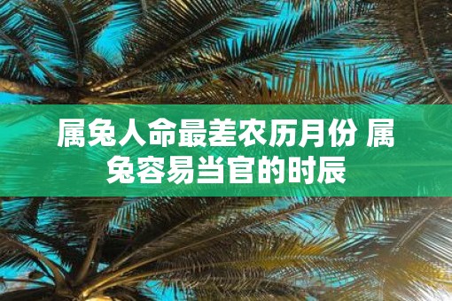 属兔人命最差农历月份 属兔容易当官的时辰