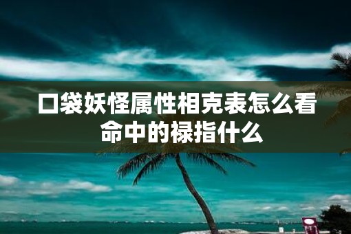 口袋妖怪属性相克表怎么看  命中的禄指什么