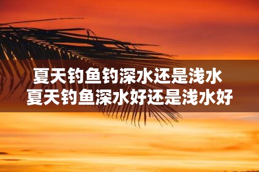 夏天钓鱼钓深水还是浅水 夏天钓鱼深水好还是浅水好