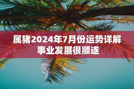 属猪2025年7月份运势详解 事业发展很顺遂