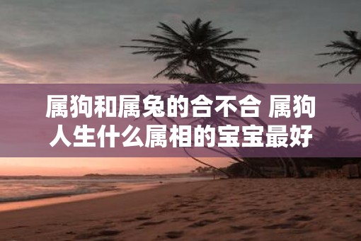 属狗和属兔的合不合 属狗人生什么属相的宝宝最好