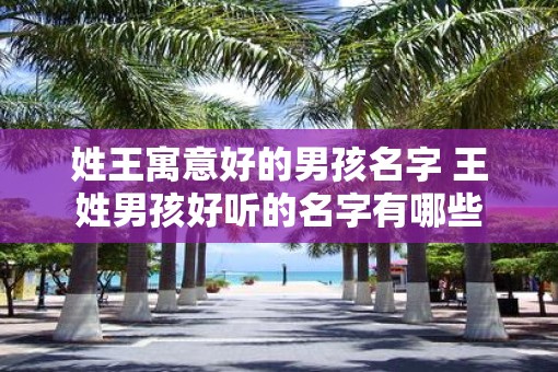 姓王寓意好的男孩名字 王姓男孩好听的名字有哪些
