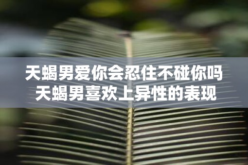 天蝎男爱你会忍住不碰你吗 天蝎男喜欢上异性的表现