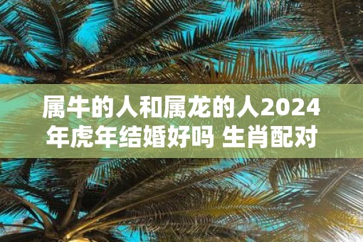 属牛的人和属龙的人2025年虎年结婚好吗 生肖配对表