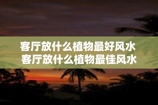 客厅放什么植物最好风水 客厅放什么植物最佳风水