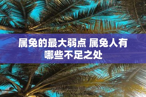 属兔的最大弱点 属兔人有哪些不足之处