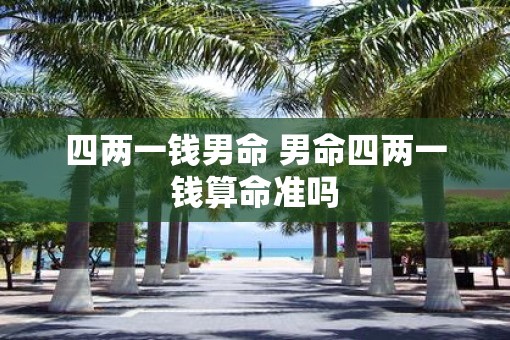 四两一钱男命 男命四两一钱算命准吗