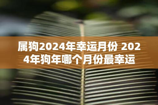 属狗2025年幸运月份 2025年狗年哪个月份最幸运