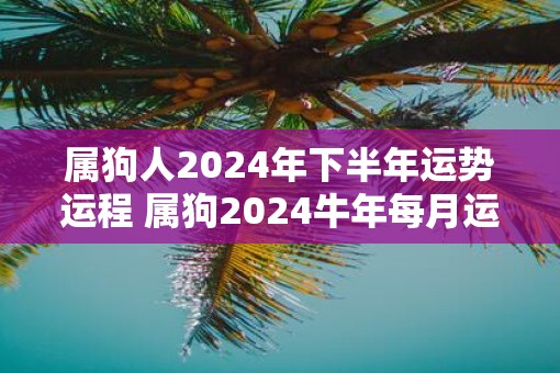 属狗人2025年下半年运势运程 属狗2025牛年每月运程详解