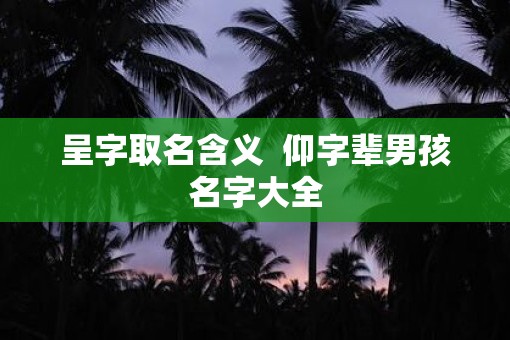 呈字取名含义  仰字辈男孩名字大全