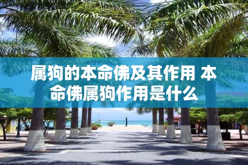属狗的本命佛及其作用 本命佛属狗作用是什么