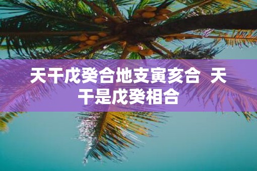 天干戊癸合地支寅亥合  天干是戊癸相合