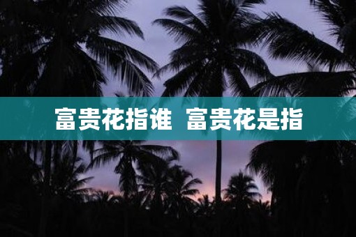 富贵花指谁  富贵花是指