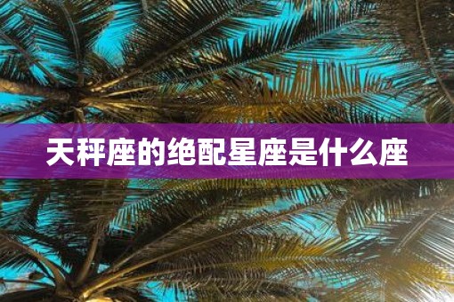 天秤座的绝配星座是什么座