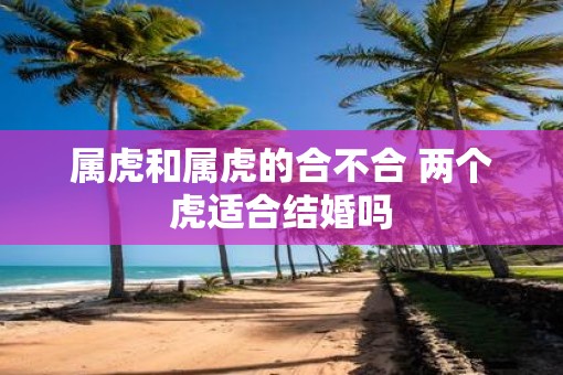 属虎和属虎的合不合 两个虎适合结婚吗
