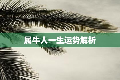 属牛人一生运势解析
