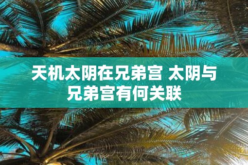 天机太阴在兄弟宫 太阴与兄弟宫有何关联