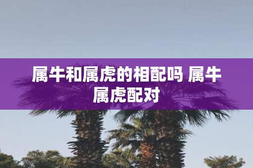 属牛和属虎的相配吗 属牛属虎配对