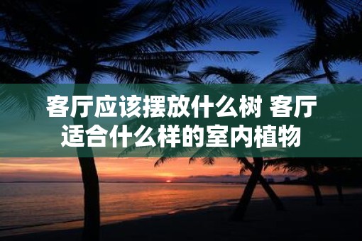 客厅应该摆放什么树 客厅适合什么样的室内植物