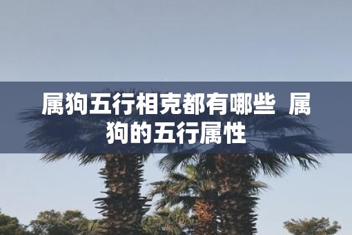 属狗五行相克都有哪些  属狗的五行属性