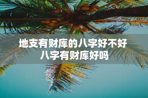 地支有财库的八字好不好 八字有财库好吗