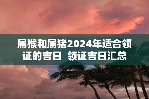 属猴和属猪2025年适合领证的吉日  领证吉日汇总