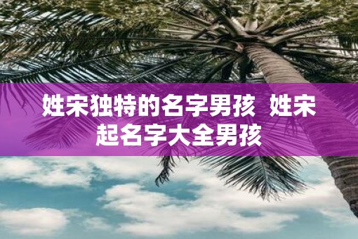姓宋独特的名字男孩  姓宋起名字大全男孩