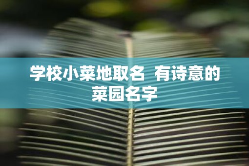 学校小菜地取名  有诗意的菜园名字