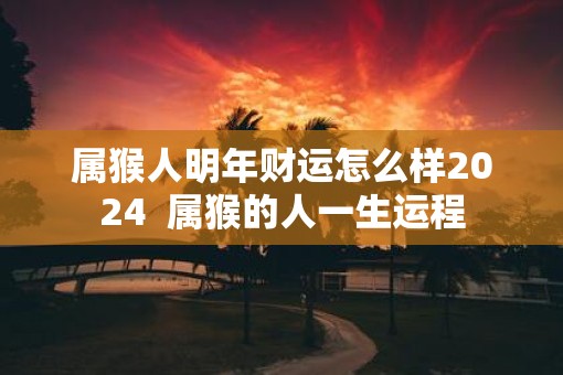 属猴人明年财运怎么样2025  属猴的人一生运程