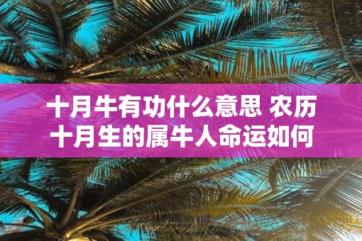 十月牛有功什么意思 农历十月生的属牛人命运如何
