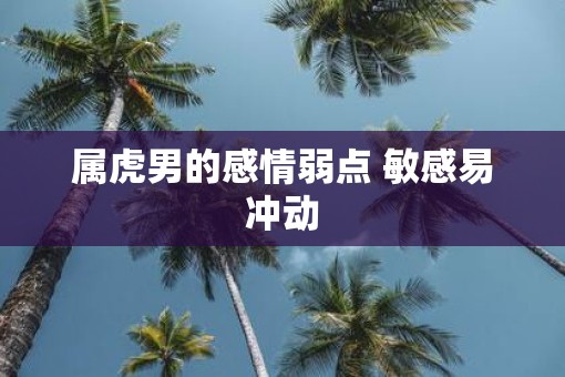 属虎男的感情弱点 敏感易冲动