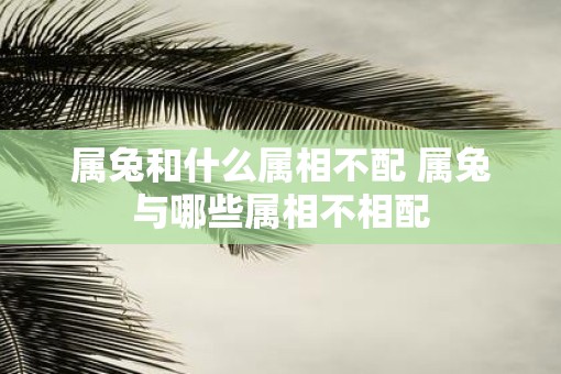 属兔和什么属相不配 属兔与哪些属相不相配