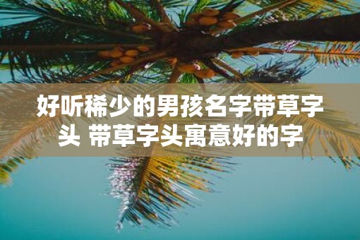 好听稀少的男孩名字带草字头 带草字头寓意好的字