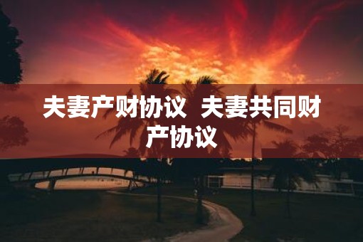 夫妻产财协议  夫妻共同财产协议