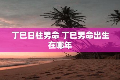 丁巳日柱男命 丁巳男命出生在哪年