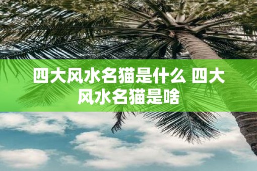 四大风水名猫是什么 四大风水名猫是啥