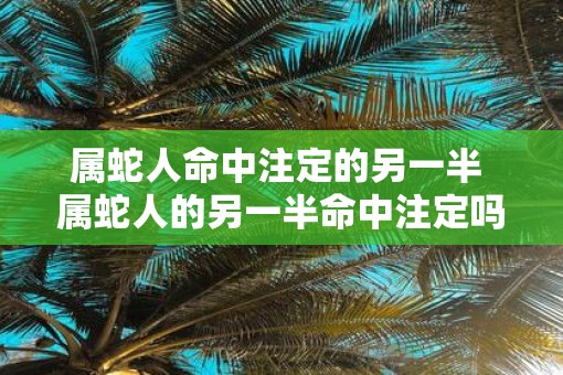属蛇人命中注定的另一半 属蛇人的另一半命中注定吗