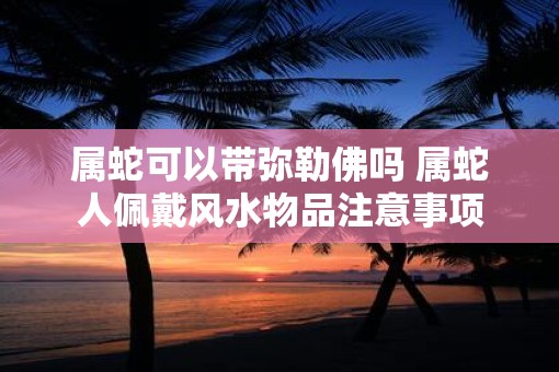 属蛇可以带弥勒佛吗 属蛇人佩戴风水物品注意事项