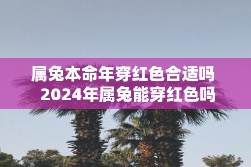 属兔本命年穿红色合适吗  2025年属兔能穿红色吗