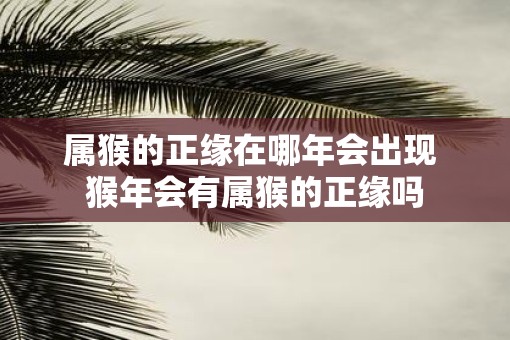 属猴的正缘在哪年会出现 猴年会有属猴的正缘吗