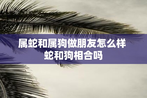 属蛇和属狗做朋友怎么样 蛇和狗相合吗