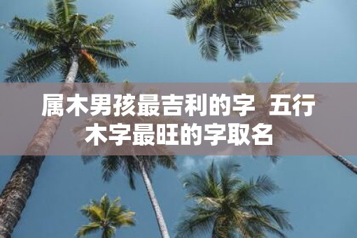 属木男孩最吉利的字  五行木字最旺的字取名 属木男孩最吉利的字  五行木字最旺的字取名