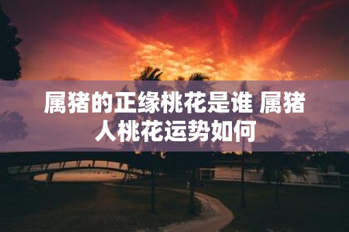 属猪的正缘桃花是谁 属猪人桃花运势如何