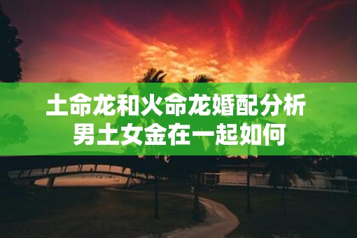 土命龙和火命龙婚配分析 男土女金在一起如何