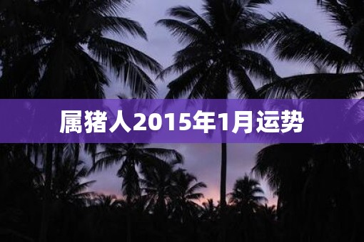 属猪人2015年1月运势
