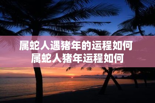 属蛇人遇猪年的运程如何 属蛇人猪年运程如何