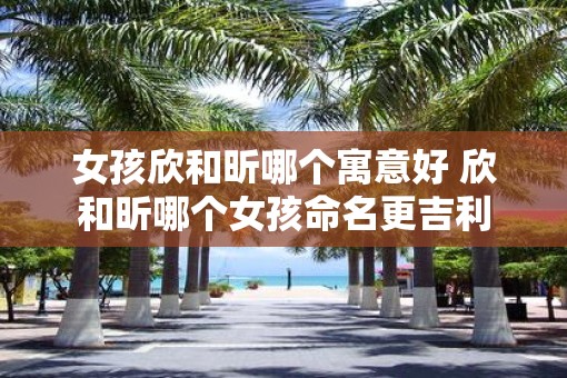女孩欣和昕哪个寓意好 欣和昕哪个女孩命名更吉利